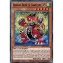 Dragon Armé du Tonnerre LV5 (C) [MP22]