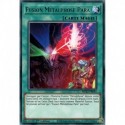 Fusion Métalphose Para (R) [MP22]