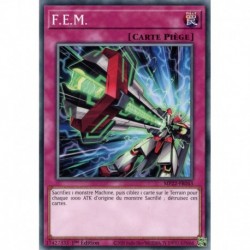F.E.M. (C) [MP22]