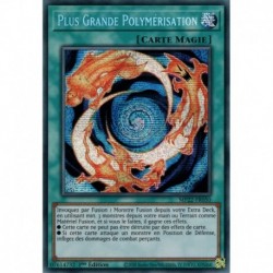 Plus Grande Polymérisation (PSTR) [MP22]