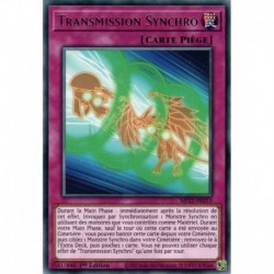 Transmission Synchro (R) [MP22]
