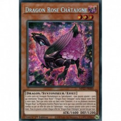 Dragon Rose Châtaigne (PSTR) [MP22]