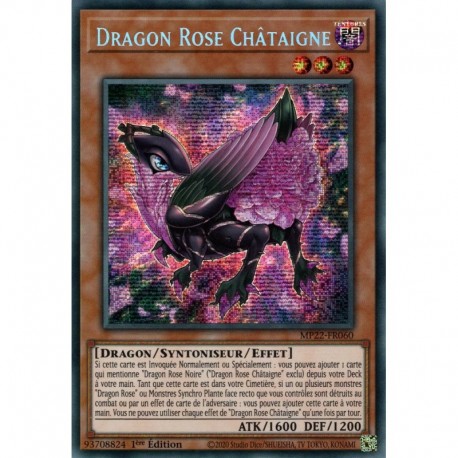 Dragon Rose Châtaigne (PSTR) [MP22]