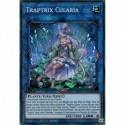 Traptrix Cularia (SR) [MP22]