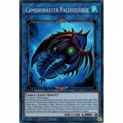 Cambroraster Paléozoïque (SR) [MP22]