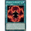 Marqué en Blanc (C) [MP22]