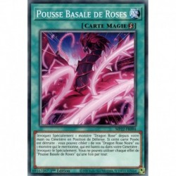 Pousse Basale de Roses (C) [MP22]