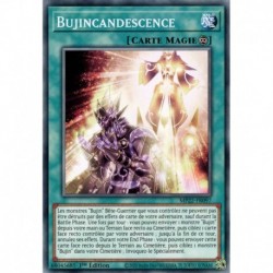 Bujincandescence (C) [MP22]