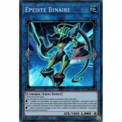 Épéiste Binaire (SR) [MP22]