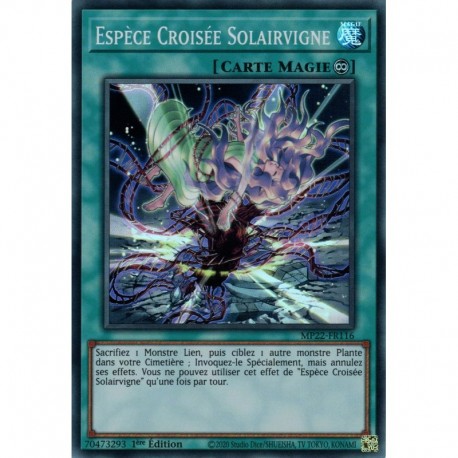 Espèce Croisée Solairvigne (SR) [MP22]