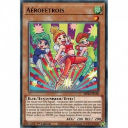 Aérofétrois (C) [MP22]