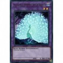 Allvain l'Essence de la Vanité (UR) [MP22]