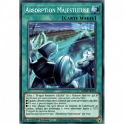 Absorption Majestueuse (C) [MP22]