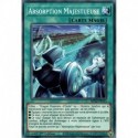 Absorption Majestueuse (C) [MP22]