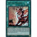 Lien du Marqué (UR) [MP22]