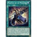 Maftea de la Magiclé (C) [MP22]
