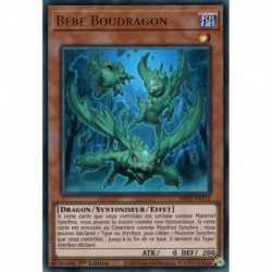 Bébé Boudragon (UR) [MP22]