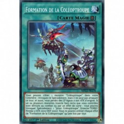 Formation de la Coléoptroupe (C) [MP22]