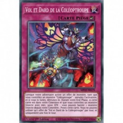 Vol et Dard de la Coléoptroupe (C) [MP22]