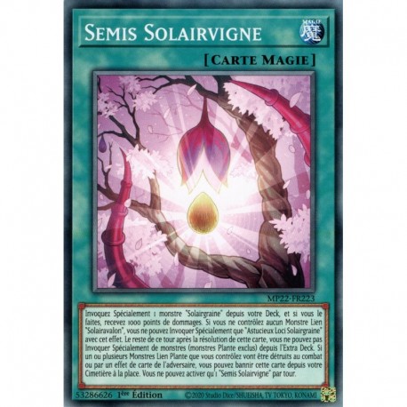 Semis Solairvigne (C) [MP22]