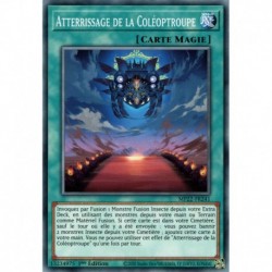 Atterrissage de la Coléoptroupe (C) [MP22]