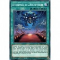 Atterrissage de la Coléoptroupe (C) [MP22]