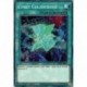 Cynet Colisicroisé (C) [MP22]