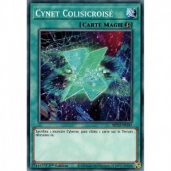Cynet Colisicroisé (C) [MP22]