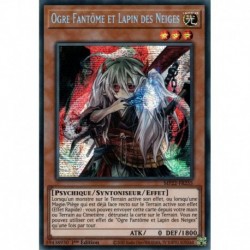 Ogre Fantôme et Lapin des Neiges (PSTR) [MP22]