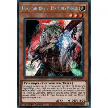 Ogre Fantôme et Lapin des Neiges (PSTR) [MP22]