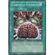 Contrôle Cérébral (C) [DPYG]