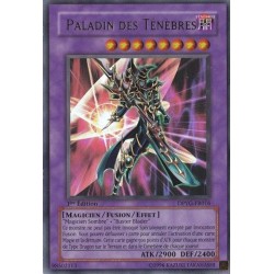 Paladin Des Ténèbres (UR) [DPYG]