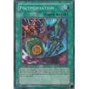 Polymérisation (SR) [DPYG]