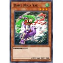 Dame Ninja Yae (C) [AST]