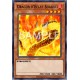 Dragon D'éclat Solaire (C)