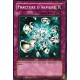 Fracture d'armure (C)