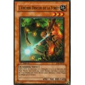 L'Archer Obscur De La Forêt (C) [AST]