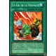 La Loi de la normale (C)