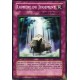 Lumière Du Jugement (C)