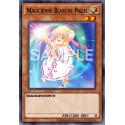 Magicienne Blanche Pikeru (C) [AST]