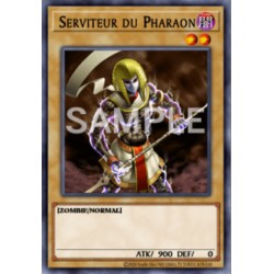Serviteur du pharaon (C)
