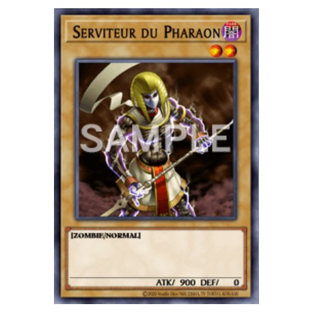 Serviteur du pharaon (C)