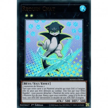 Requin Chat (UR) [MAMA]