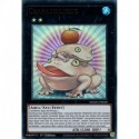 Crapaudilique (UR) [MAMA]