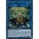 Séra Traptrix (UR) [MAMA]