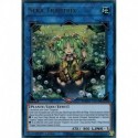 Séra Traptrix (UR) [MAMA]