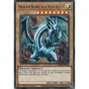 Dragon Blanc aux Yeux Bleus (UR-PR) [MAMA]
