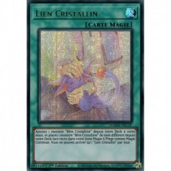 Lien Cristallin (UR-PR) [MAMA]
