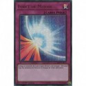 Force de Miroir (UR-PR) [MAMA]