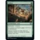 (FOIL) Vert - Audace (U) [BRO]